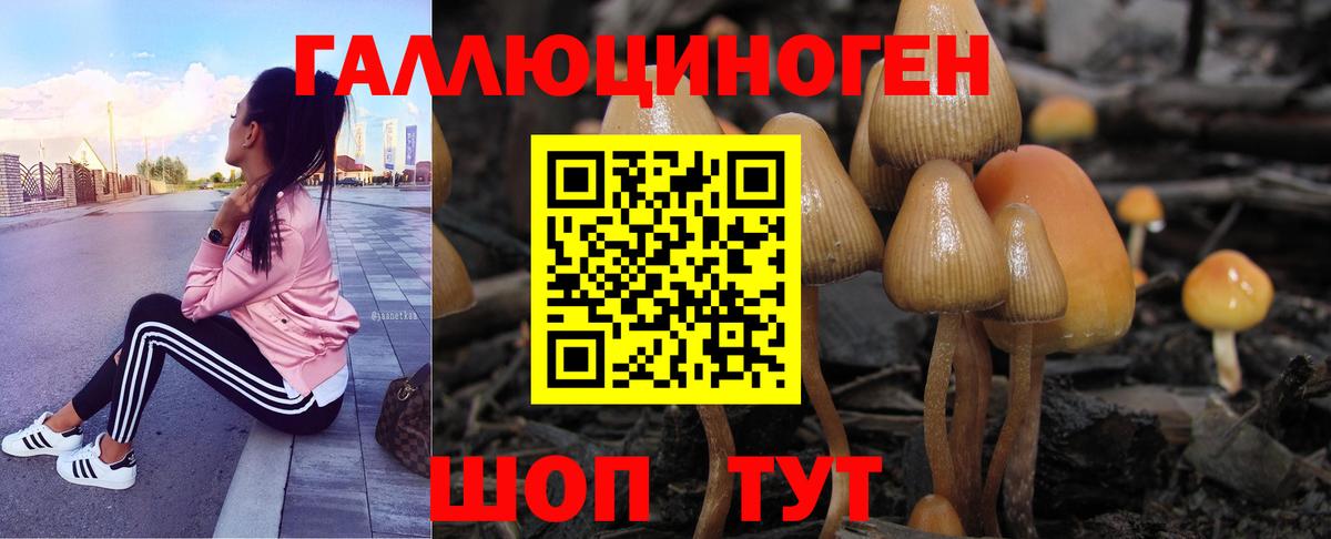 Москва  Галлюциногенные грибы прущие грибы  Вход с VPN 